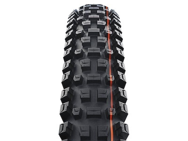 Schwalbe Albert Gravity Pro Folding Tire 29
