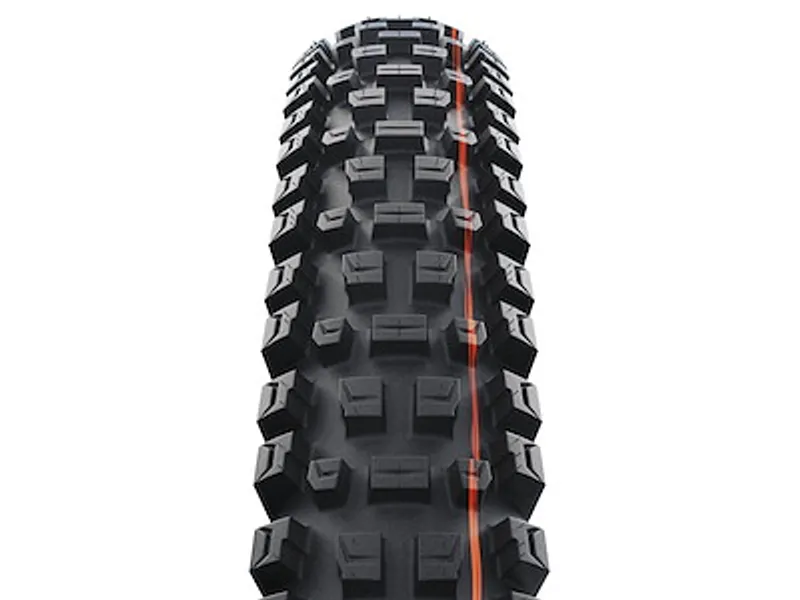 Schwalbe Albert Gravity Pro Folding Tire 29